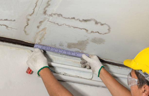 Reliable Water Damage Repair contractor in Brooksville, FL by Aqua Guard Water Damage